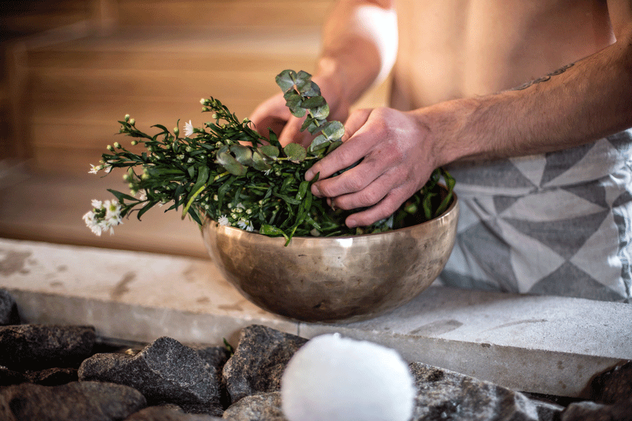 plantes dans un bol en cuivre
