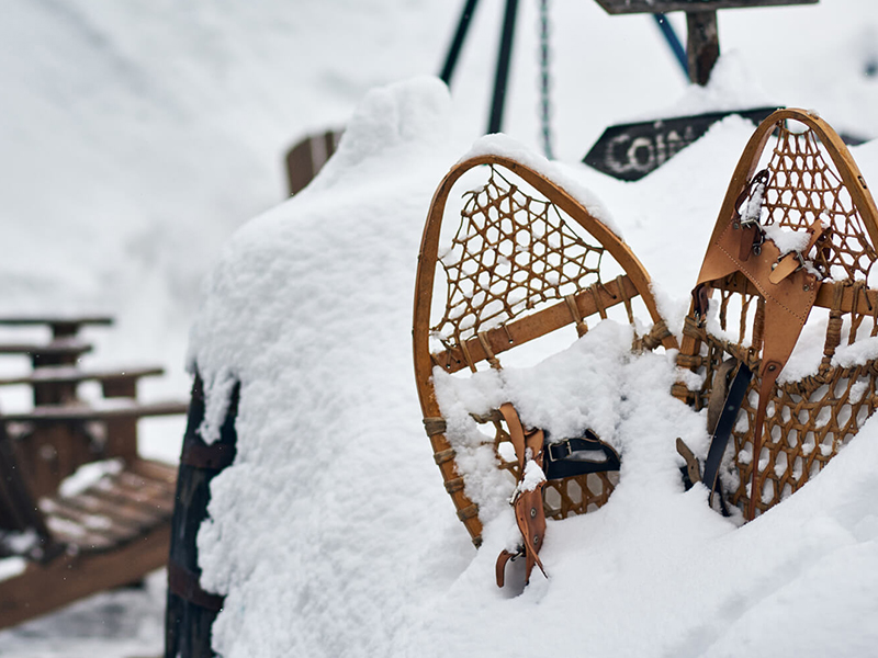 For a successful winter evening: Snowshoeing & Spa Under the Stars