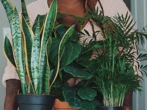 woman holding plants