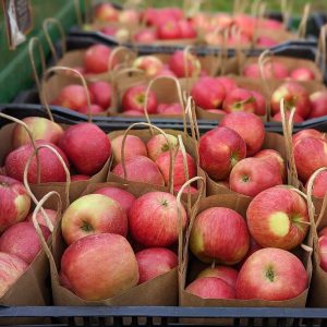 paniers remplis de pommes