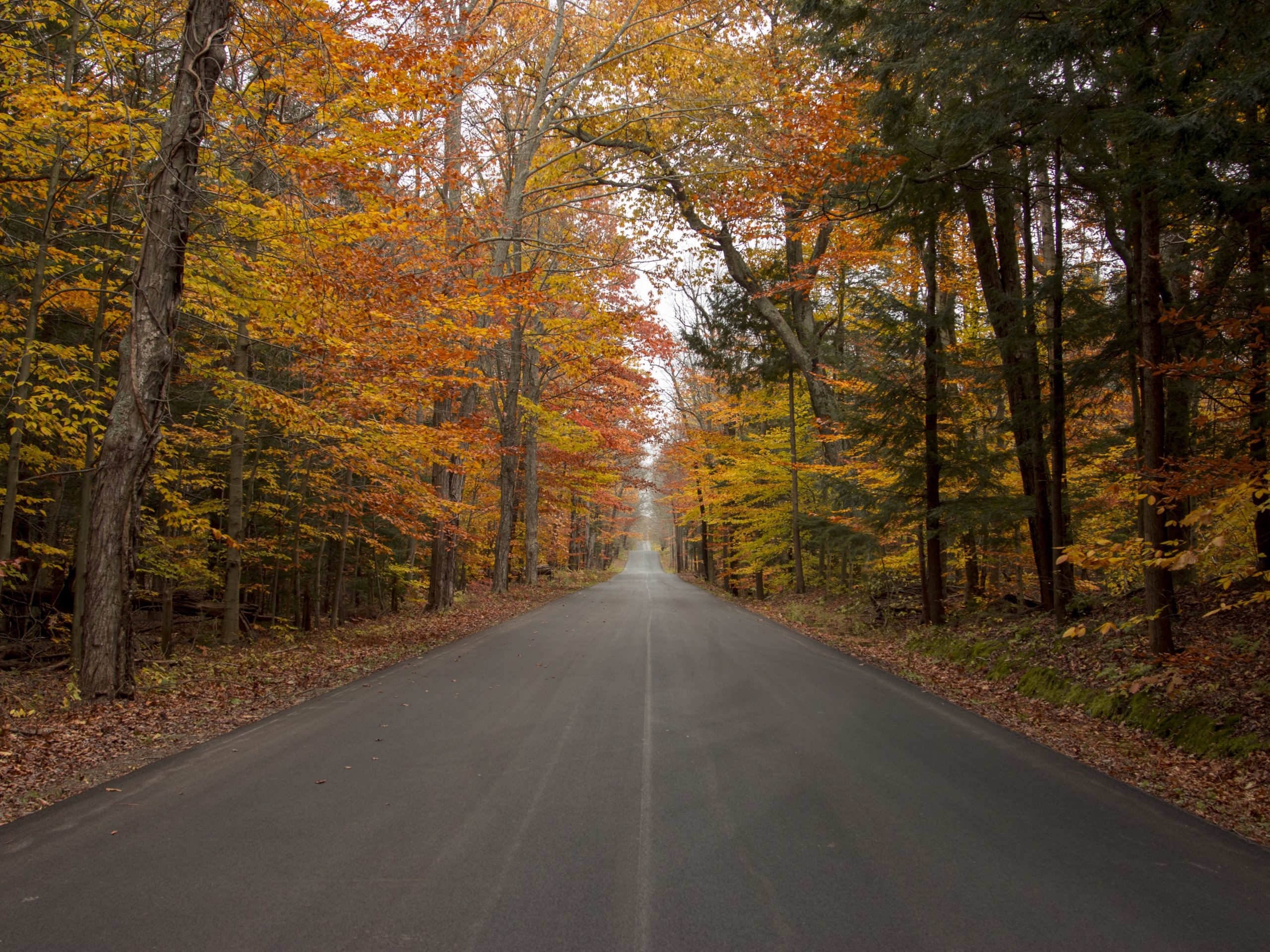 Les meilleures randonnées d’automne près de Chelsea