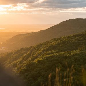 sunlight on green mountains